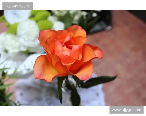 金斯基孤独终老令人深思的心理启示