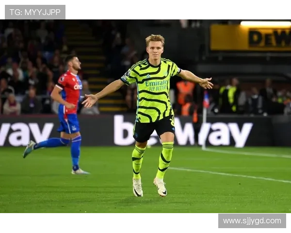 费迪南德谈阿森纳国脚退出原因 费迪南德谈阿森纳国脚退出原因